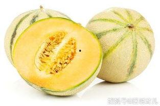怀孕初期可以吃田瓜