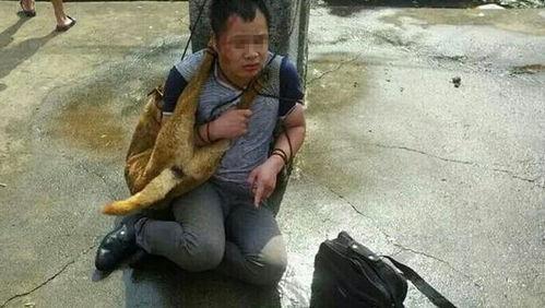 偷狗贼吃瓜视频,一场荒诞的偷狗风波