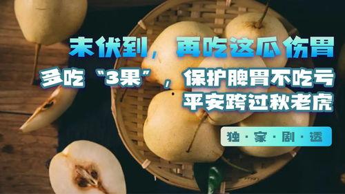 吃瓜伤胃,揭秘“吃瓜伤胃”背后的真相