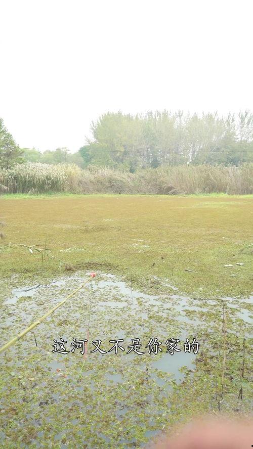 户外野钓吃瓜,享受夏日清凉与瓜果飘香