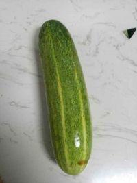 嫩圆瓜怎么吃,探索美味与营养的完美结合