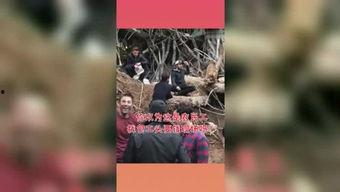 吃瓜星球攻略,揭秘神秘星球的美食之旅
